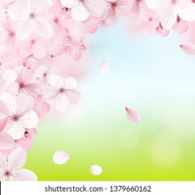 Beautiful delicate background with blossoming light pink sakura flowers with place for text. Delicate floral design. Realistic  vector illustration.