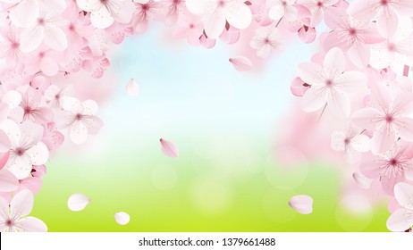 Beautiful delicate background with blossoming light pink sakura flowers with place for text. Delicate floral design. Realistic  vector illustration.