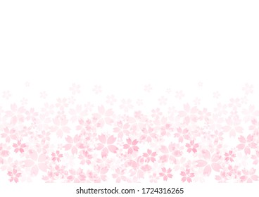 Beautiful delicate cherry blossom background