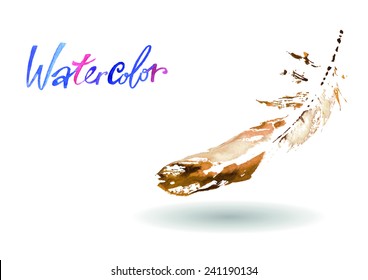 beautiful delicate feathers painted in watercolor