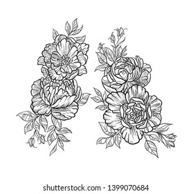 Hand Drawn Dogrose Bunch Flowers Leaves Stock Vector (Royalty Free ...