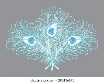Beautiful and delicate peacock feathers