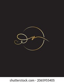 A beautiful and delicate script with a unique charm letter V logo template