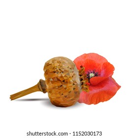 Beautiful and delicious poppy. Bloom of poppy. Elements for label design. Vector illustration. Ingredients in triangulation technique. Poppy low poly.