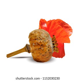 Beautiful and delicious poppy. Bloom of poppy. Elements for label design. Vector illustration. Ingredients in triangulation technique. Poppy low poly.