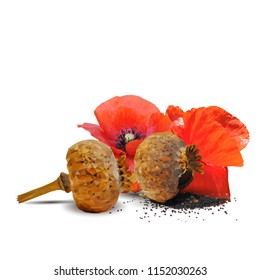 Beautiful and delicious poppy. Bloom of poppy. Elements for label design. Vector illustration. Ingredients in triangulation technique. Poppy low poly.