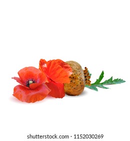 Beautiful and delicious poppy. Bloom of poppy. Elements for label design. Vector illustration. Ingredients in triangulation technique. Poppy low poly.