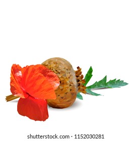 Beautiful and delicious poppy. Bloom of poppy. Elements for label design. Vector illustration. Ingredients in triangulation technique. Poppy low poly.