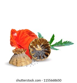 Beautiful and delicious poppy. Bloom of poppy. Elements for label design. Vector illustration. Ingredients in triangulation technique. Poppy low poly.