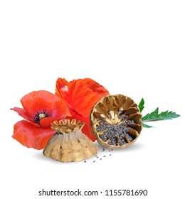 Beautiful and delicious poppy. Bloom of poppy. Elements for label design. Vector illustration. Ingredients in triangulation technique. Poppy low poly.
