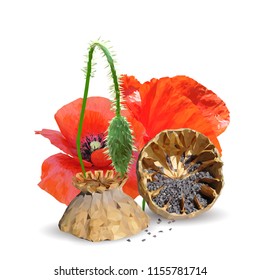 Beautiful and delicious poppy. Bloom of poppy. Elements for label design. Vector illustration. Ingredients in triangulation technique. Poppy low poly.
