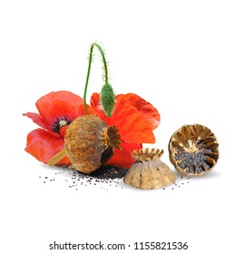 Beautiful and delicious poppy. Bloom of poppy. Elements for label design. Vector illustration. Ingredients in triangulation technique. Poppy low poly.