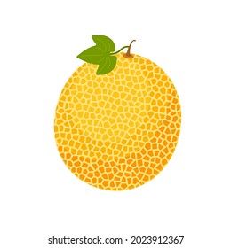 Beautiful delicious ripe melon. Vector flat illustration isolated on white background 