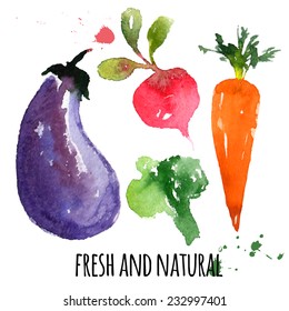 beautiful delicious vegetables, hand drawn watercolor and brush on paper - paint, stain, splash - eggplant, beet, carrot, broccoli - farm concept, labels, ecology design - vector illustration