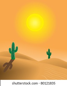 beautiful desert sunset