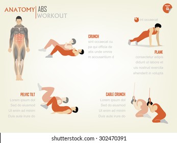 Beautiful Design Info Graphic Of Abdominal ABS Core Body Workout Consist Of Crunch,plank,pelvic Tilt And Cable Crunch