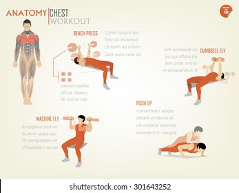 beautiful design info-graphic of chest workout consist of bench press,dumbbell fly,machine fly and push up