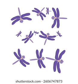A beautiful design of many buterfly vector illustration