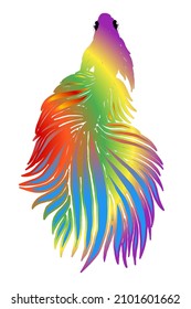 beautiful  design vector beauty of colorful betta fish with beautiful fins for wallpaper or clothing
