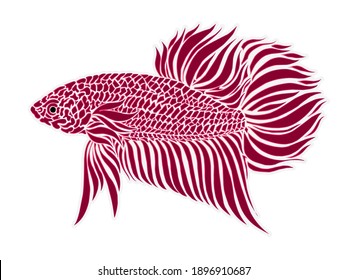 Beautiful design vector logo of betta fish with beautiful fins 