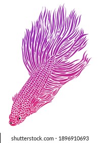 Beautiful design vector logo of betta fish with beautiful fins 