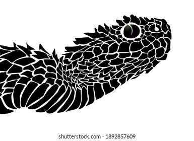 Beautiful design vector logo of black viper 