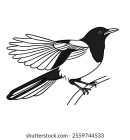 Beautiful and detailed bird outline design for use in coloring pages.