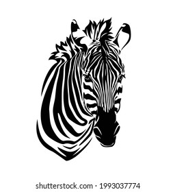 beautiful detailed realistic portrait of african zebra head - black and white animal vector outline design