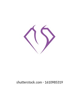 beautiful diamond logo design vector