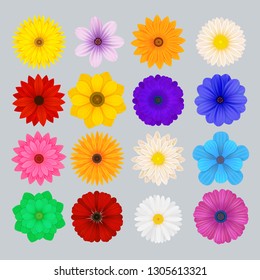 Beautiful different daisy, chamomile and gerbera roses set. Spring and summer flowers collection. Decoration for banner, poster, background. Isolated