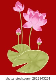 Beautiful digital vector illustration of blooming pink lotus flower with buds and large green lily pads on red background