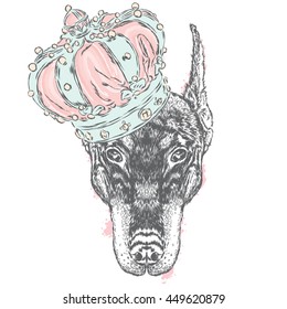 Beautiful Doberman in the crown. Vector illustration for greeting card, poster, or print on clothes. Pedigree dog.