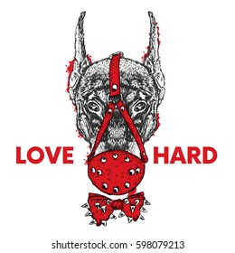 The beautiful Doberman is muzzled. Vector illustration. Dog in the mask. Loves hard.