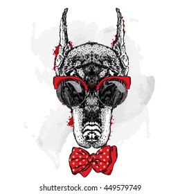 Beautiful Doberman wearing glasses and tie. Vector illustration for greeting card, poster, or print on clothes. Pedigree dog.