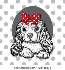 A beautiful dog with a bow on his head. Cute Spaniel. Purebred puppy. Vector illustration for a postcard or a poster, print for clothes and accessories.