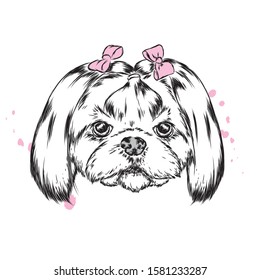 Beautiful dog in the bow. Purebred puppy in clothes and accessories. Vector illustration for a postcard or poster, print on clothes, covers, covers or bags.