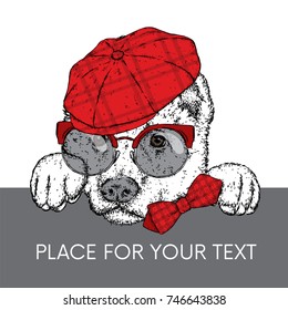 A beautiful dog in a cap, glasses and a tie. Vector illustration for a postcard or a poster, print for clothes. Purebred puppy. Alabai or the Shepherd.