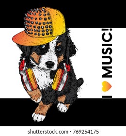 A beautiful dog in a cap and headphones. The Bernese zenenhund. Purebred puppy in clothes and accessories. Vector illustration for a postcard or poster, print on clothes, covers, covers or bags.