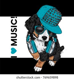 A beautiful dog in a cap and headphones. The Bernese zenenhund. Purebred puppy in clothes and accessories. Vector illustration for a postcard or poster, print on clothes, covers, covers or bags.