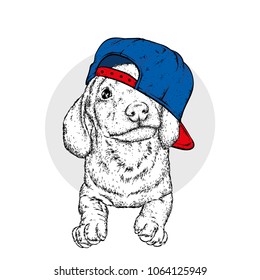 A beautiful dog in a cap. Vector illustration. Animal in clothes and accessories. Purebred puppy. Hipster dog.