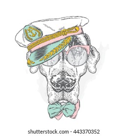 Beautiful dog in the captain's cap, glasses and tie. Vector illustration.