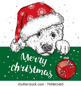 A beautiful dog in a Christmas hat and a Christmas ball. Vector illustration for a postcard or a poster. Purebred puppy. Sheepdog or Alabai. New Year.