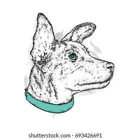A beautiful dog in a collar. Cute puppy. Vector illustration for a postcard or a poster, print for clothes.
