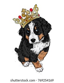 Beautiful dog in the crown. The Bernese zenenhund. Purebred puppy in clothes and accessories. Vector illustration for a postcard or poster, print on clothes, covers, covers or bags.