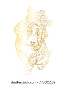 Beautiful dog in the crown. The Bernese zenenhund. Purebred puppy in clothes and accessories. Vector illustration for a postcard or poster, print on clothes, covers, covers or bags.