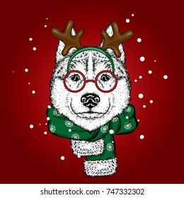 A beautiful dog in a deer suit and scarf. Antler. Vector illustration. Purebred puppy in clothes and accessories. Husky or wolf. New Year's and Christmas.