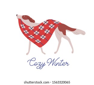 Beautiful dog, domestic animal carrying warm red blanket flat illustration with handwriting. Cozy winter greeting card design element. Wintertime postcard design with adorable pet and calligraphy.