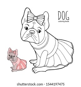 Beautiful dog in a dress and with a bow. Coloring book page. Purebred puppy. French Bulldog. Vector illustration for a postcard or poster, print for clothes or printed products.