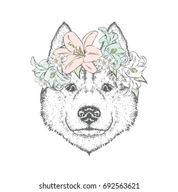 A beautiful dog in a flower wreath. Cute puppy. Vector illustration for a postcard or a poster, print for clothes. Husky or wolf.