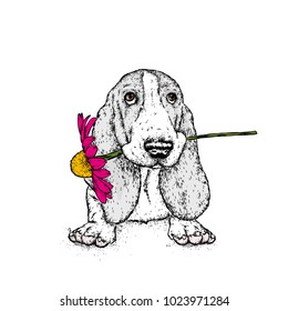 A beautiful dog with a gerbera. Vector illustration. Funny puppy with a flower.